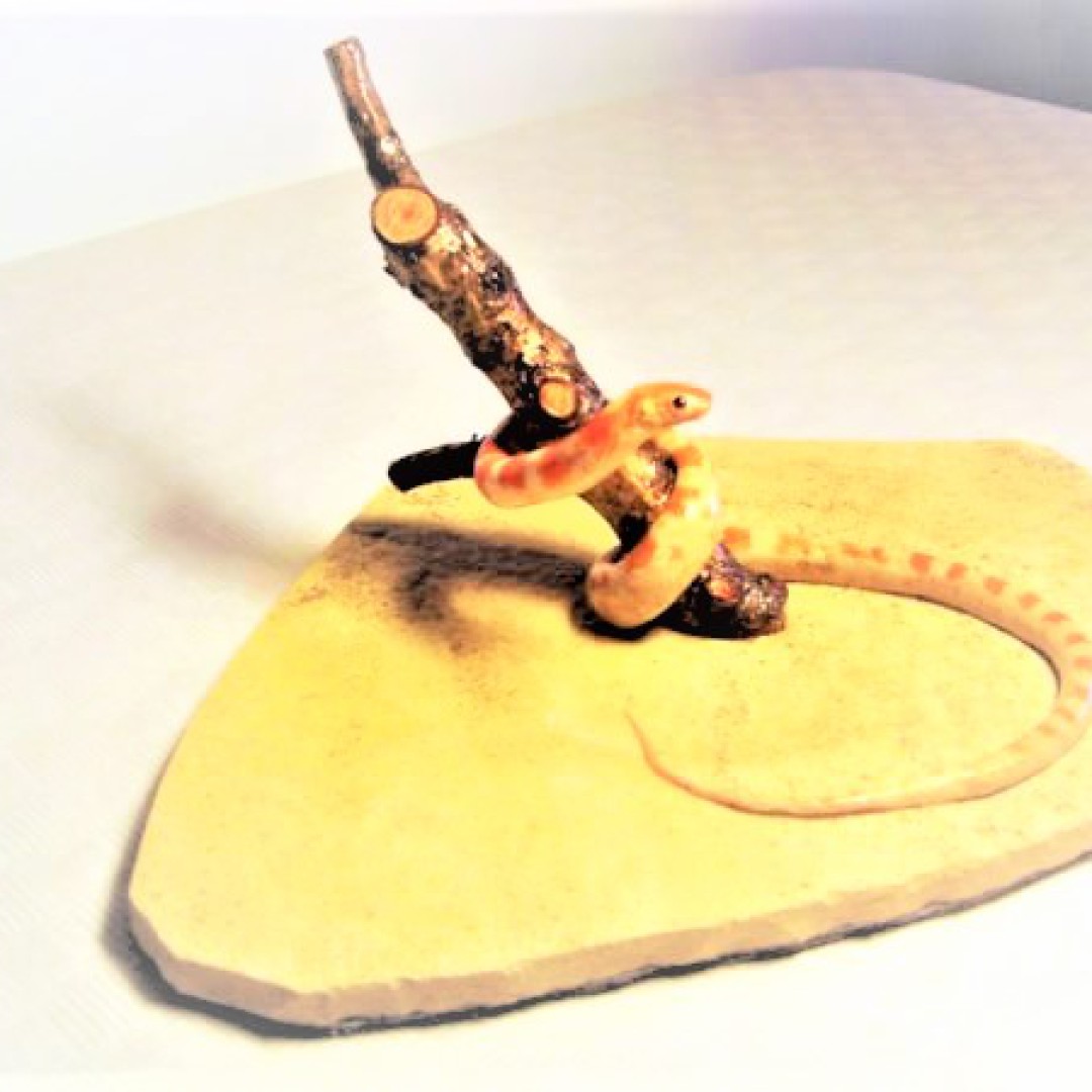 Taxidermia de serpiente