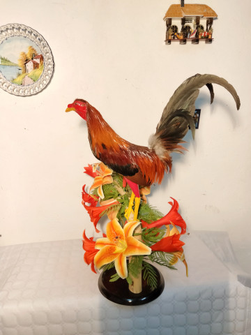 GALLOS