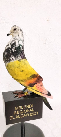 PALOMOS 