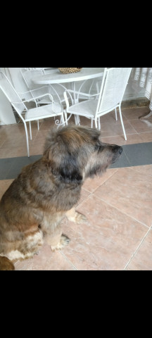 BLAKY 