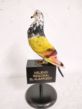 PALOMOS 