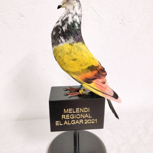 PALOMOS 