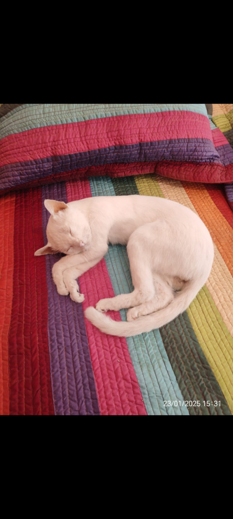 ZURI 